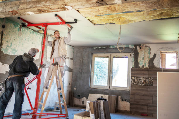 Best Energy Efficiency Insulation in Pleasant Hill, MO
